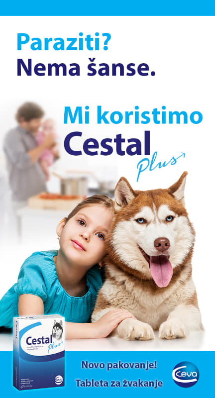 Cestal Plus1